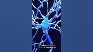 Unlock Brain Power: The Secret to Ageless Memory and Focus