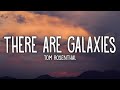 Tom Rosenthal - Worry Not There Are Galaxies You Haven&#39;t Heard Of (Lyrics)