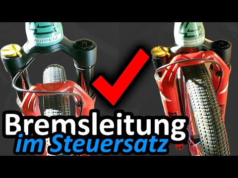 Bremsleitung durch Steuersatz