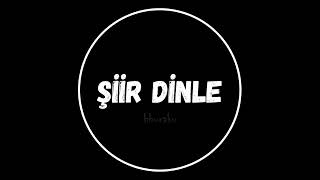Erhan Güleryüz Doğum Günü Şiir Dinle Şiir Dinletisi