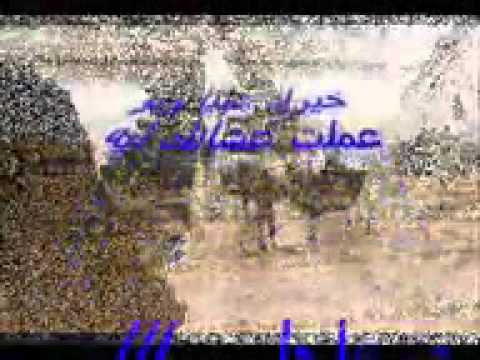 عمرو مصطفى يا بلدى عشانك انتى اتحدى اى مستحيل  