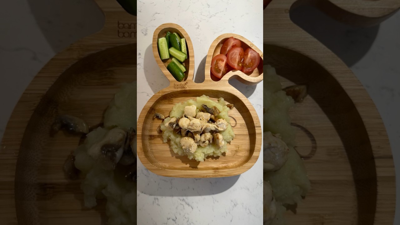 Mash potatoes with creamy chicken and mushrooms,Food for babies and