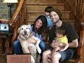 J2 wives and kids