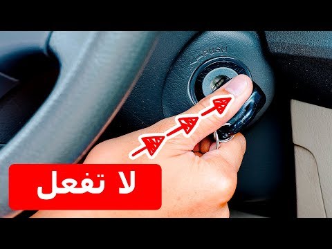 فيديو: المصابيح التي تتجنبها السناجب - معلومات عن مصابيح الزهور التي تمنع السناجب