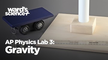 AP Physics Lab 3: Gravity