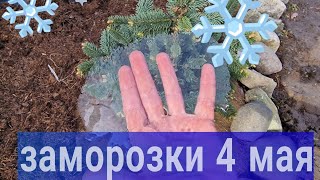 Морозная ночь/ Север Подмосковья