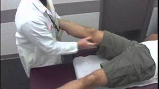 Complete Musculoskeletal Exam of the Knee