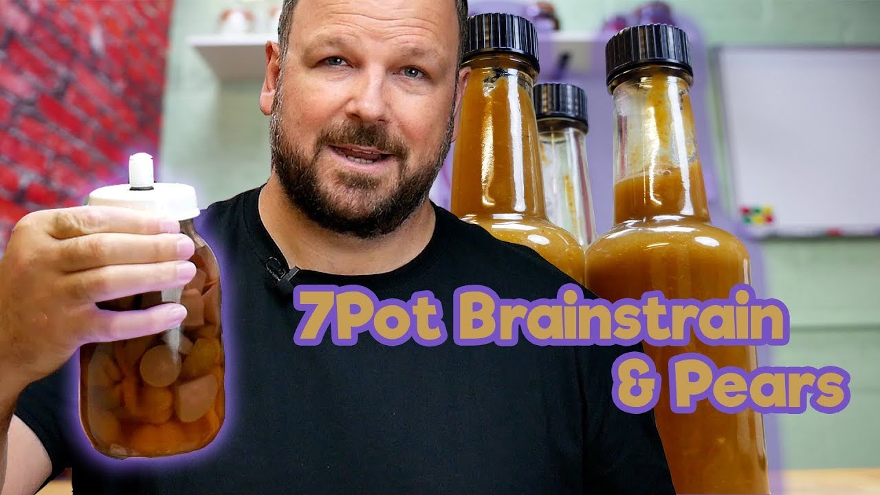 HOT SAUCE! 10 Month Ferment, 7pot Brainstrain Yellow and  Pear chilli sauce