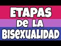 5 ETAPAS de la BISEXUALIDAD