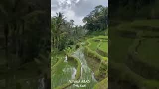 PUSAKA ABADI - TETTY KADI