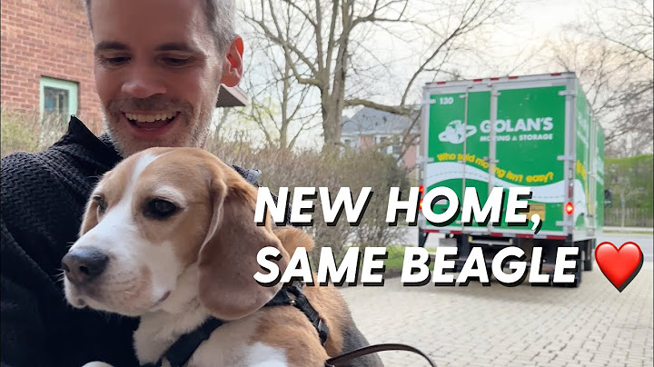 Oliver's big moving day