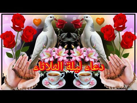 اللهم في ليلة الثلاثاء نستودعك قلوبنا وأيامنا فاحفظها من كل سوء واملأها سكينة ورض ا وبركة