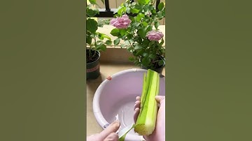 god level skill peeling taro stem skin #satisfying #shorts