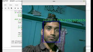 Realtime face recognition, pytorch