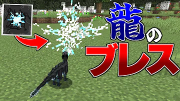 ドラゴンに変身してダンジョン攻略3
