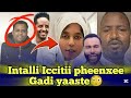 Intalli Kun Pheenxee Daaraa Goote Iccitii Jaraa Gadi Guurte Ofiifis Garuu Pheenxeedhuma 亞 Intalli Kun Pheenxee Daaraa Goote Iccitii Jaraa Gadi Guurte Ofiifis Garuu Pheenxeedhuma 亞