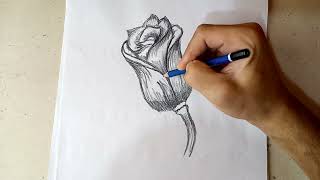 رسم زهرة  بالرصاص والخطوات | رسم سهل | تعلم رسم وردة | Drawing a Tulip