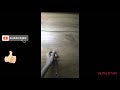 Water Candle/#Simple DIY Crafts