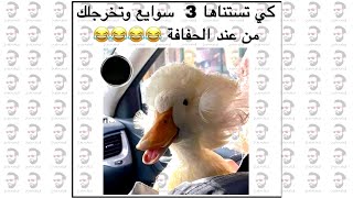 نكت جزائرية مضحكة جدا  الحلقة 115 ??  لمشخشخ