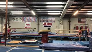 Ella Robins Level 10 Class of 2022 : 1.5 full twist Yerchenko