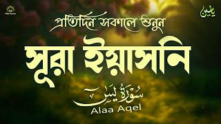 প্রতিদিন সকালে শুনুন সূরা ইয়াসিন মন জুড়ানো তেলাওয়াত l Surah Yasin ( Yaseen ) l Recited By Alaa Aqel