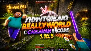 ДРОПАЮ ВСЕХ НА REALLYWORLD С ЛУЧШИМ БЕСПЛАТНЫМ ЧИТОМ CATLAVAN RECODE 1.16.5