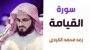 سورة القيامة - رعد الكردي