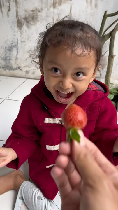 ONE ADD ONE MANY STRAWBERRIES