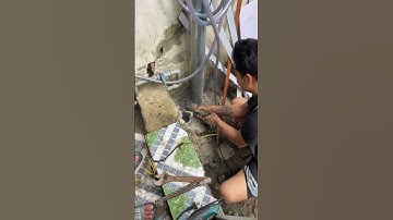 Giải cứu Cún con chui vào ống cống