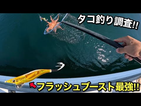 くに丸 釣り船くにうみ丸2号艇でタコ釣り調査‼️ - YouTube