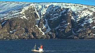 Websta - Leuchtturm Official Musikvideo Freetrack 2014