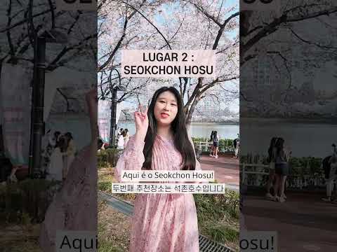 A MELHOR ÉPOCA PRA VIR PRA <strong>COREIA</strong>... COM QUEM VOCÊ QUER VIR?