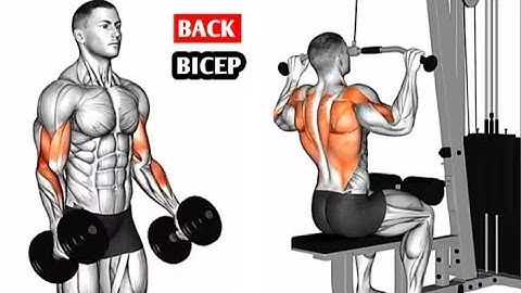 Back & Biceps Pump Like NEVER Before – Try This Routine!