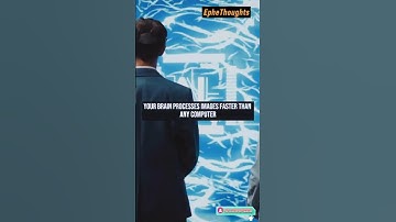 Your brain processes images faster than any computer