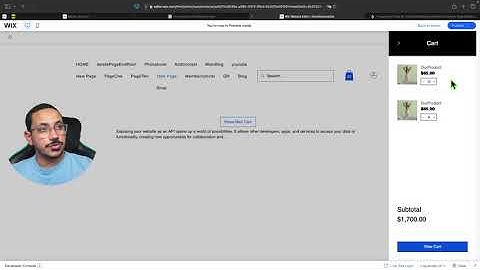 How to show the Wix Store Mini Cart using Velo