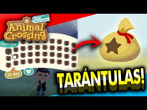 Vídeo: Tarántulas De Animal Crossing: Cómo Atrapar, Desovar Y Obtener La Isla De La Tarántula, O Hacer La Tuya Propia