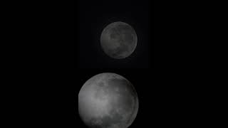 Lunar Eclipse LIVE! #eclipse #luna #telescope