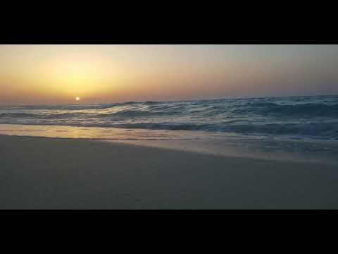 أغنية بحبك تامر حسني من فيلم مش أنا ألبوم خليك فولاذي حالات واتس