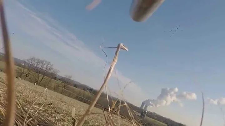 Goose Hunting 2014/2015
