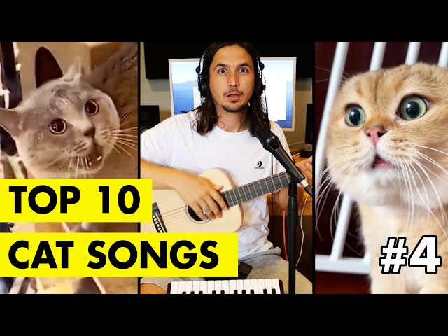 Top 10 Cat Songs by The Kiffness class=