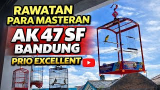 Rawatan Masteran AK 47 SF, Kuncinya hanya ada di satu hal ini