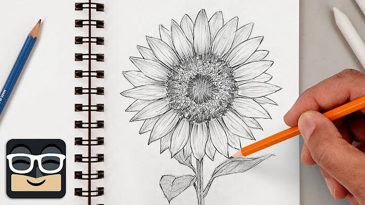 How to Draw a Realistic Sunflower | Step by Step Art Lesson for Beginners