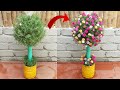 Bright vertical garden ideas growing Yo uso flores de Portulaca (Mossrose)