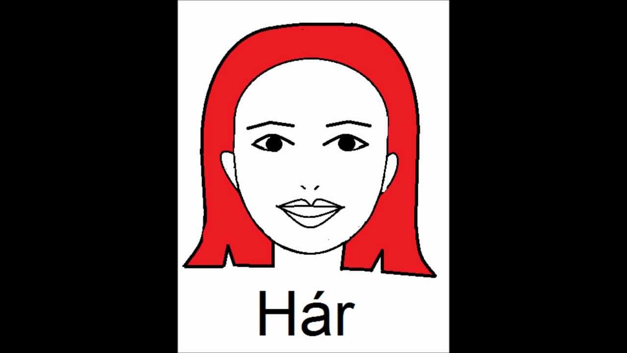 Icelandic Lesson #6: The Face - Plural and Singular, Pronunciation