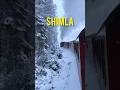 Exploring Shimla’s Most Beautiful Places 🌄 | Full Travel short #ShimlaTrip