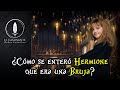 ¿Cómo se enteró Hermione Granger que era una Bruja?