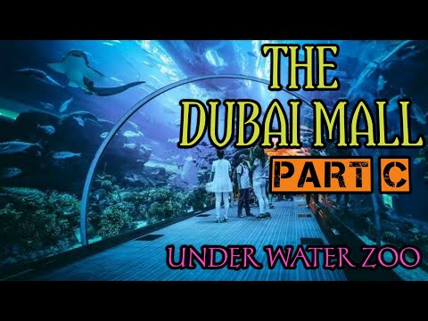 Dubai Mall Aquarium and Underwater Zoo | Must see Place in Dubai 2021| THE DUBAI MALL Part C