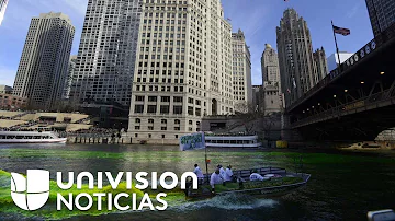 ¿Hay peces en el río Chicago?