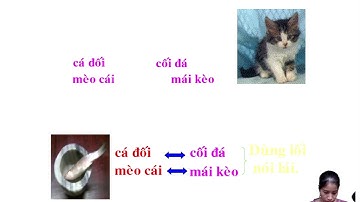 cùng học văn học với nguyễn lan 7