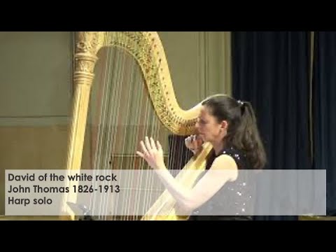 David of the white rock- John Thomas- Silke Aichhorn- harp